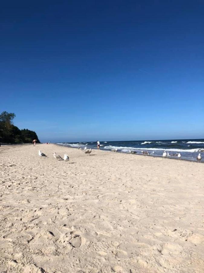 Dom Wakacyjny Dla 8 Osob Ok. 120M W Gaski, Wybrzeze Morza Baltyckiego W Polsce Exterior foto